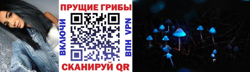 Псилоцибиновые грибы прущие грибы  купить  сайты  KRAKEN ССЫЛКА  Пятигорск 