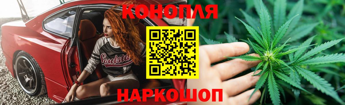 Конопля план Пятигорск
